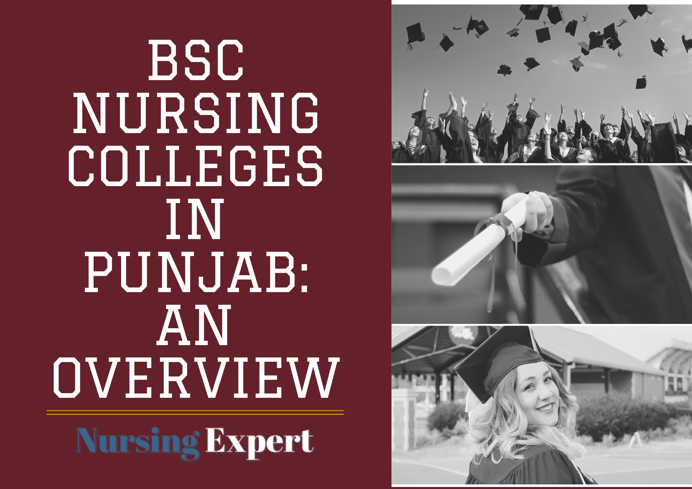 BSc Nursing Colleges in Punjab: An Overview