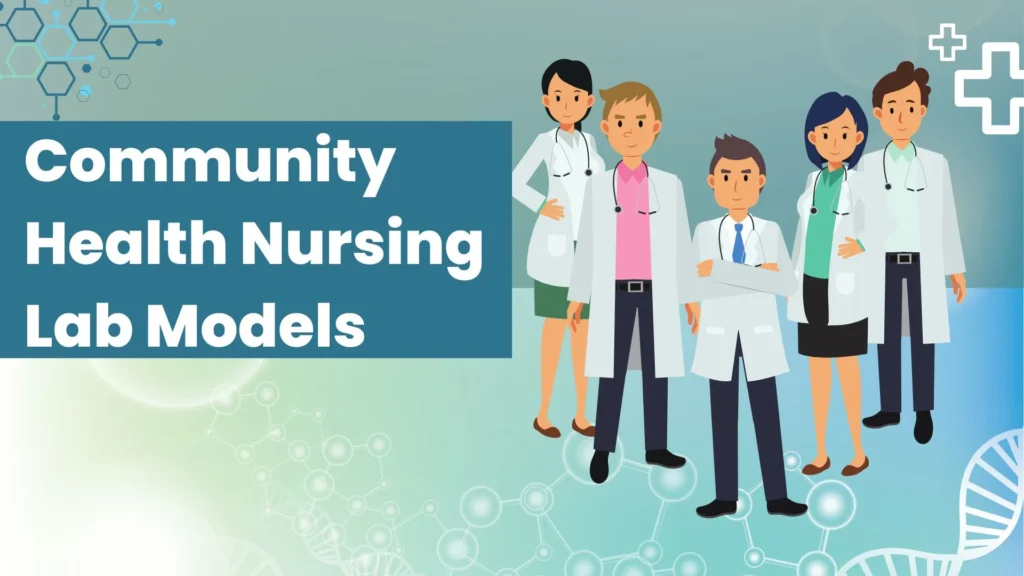 Community Health Nursing Lab Models