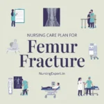 nursing care plan for femur fracture