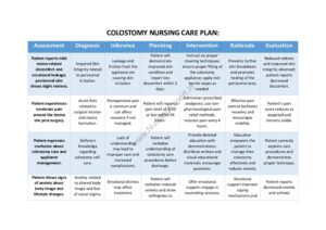 Colostomy Nursing Care Plan pdf