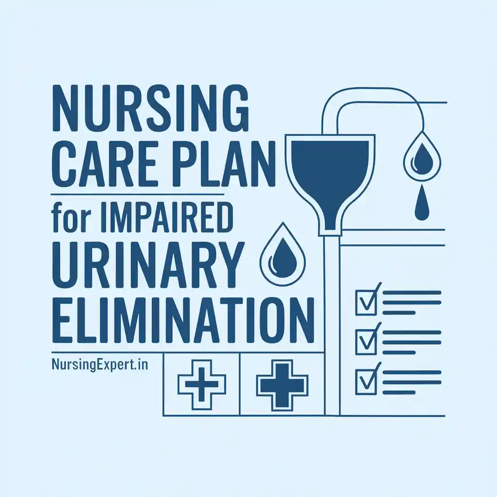 Nursing Care Plan for Impaired Urinary Elimination